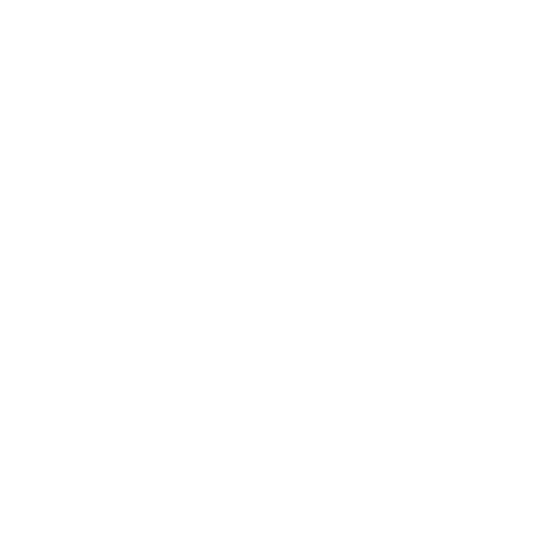 555 Brazil #1 2024