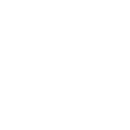 BIKINGMAN - COURSE logo - Euskadi