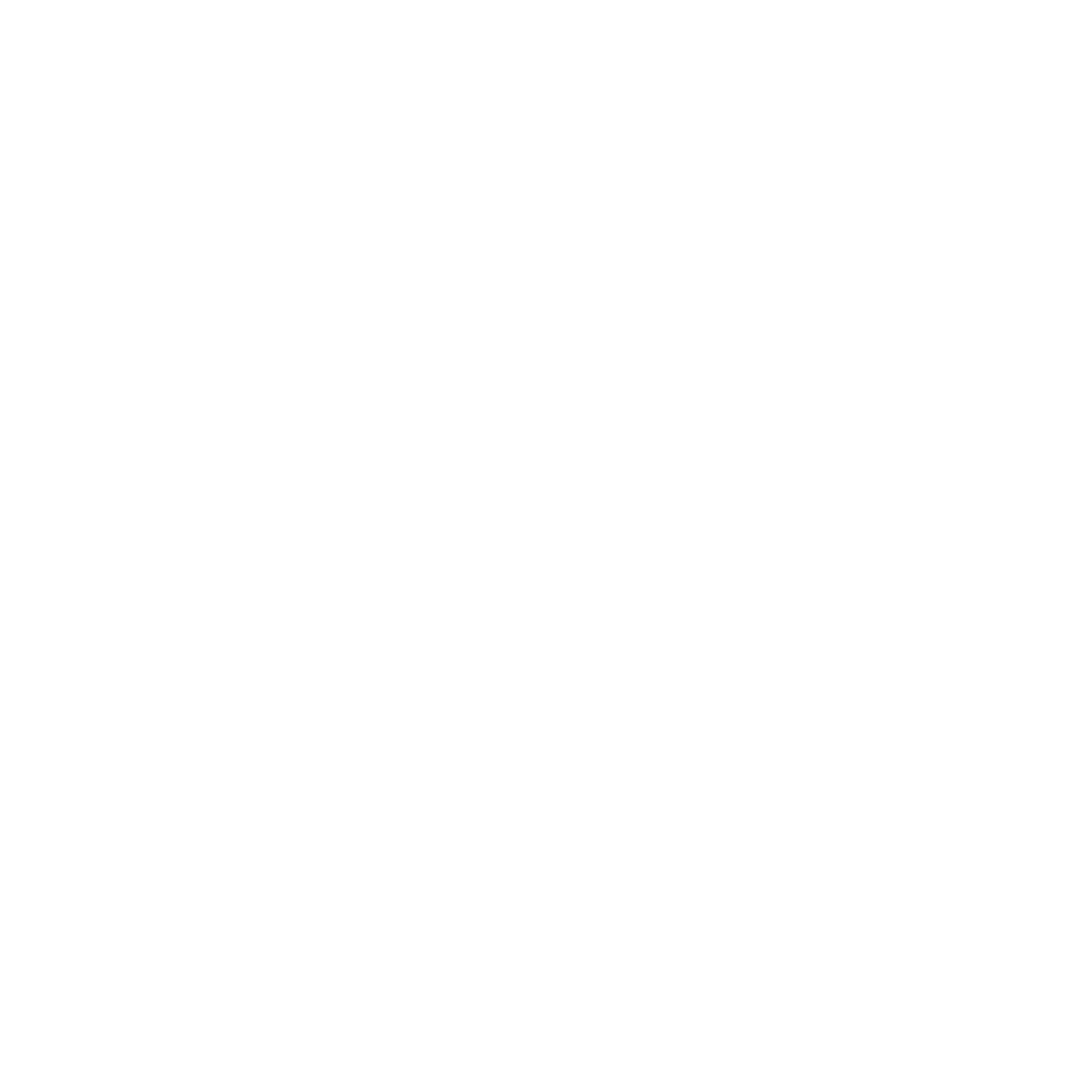 BIKINGMAN - COURSE logo - 555 Vercors