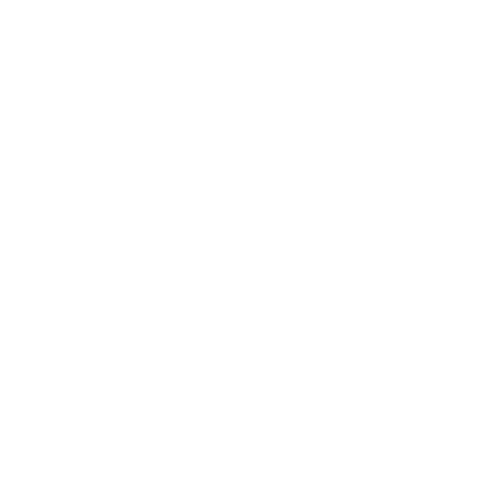 BIKINGMAN TAIWAN - COURSE logo