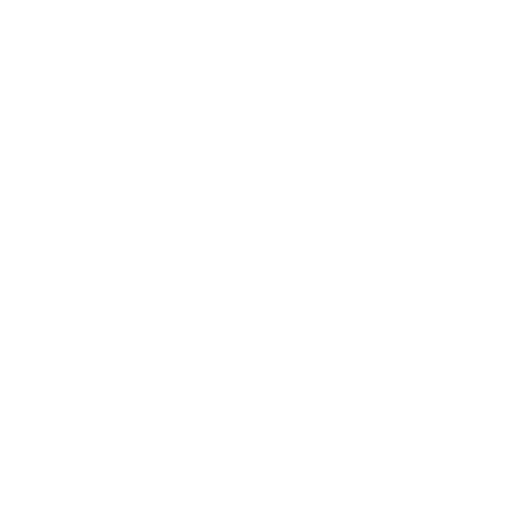 300 Corsica | Race type
