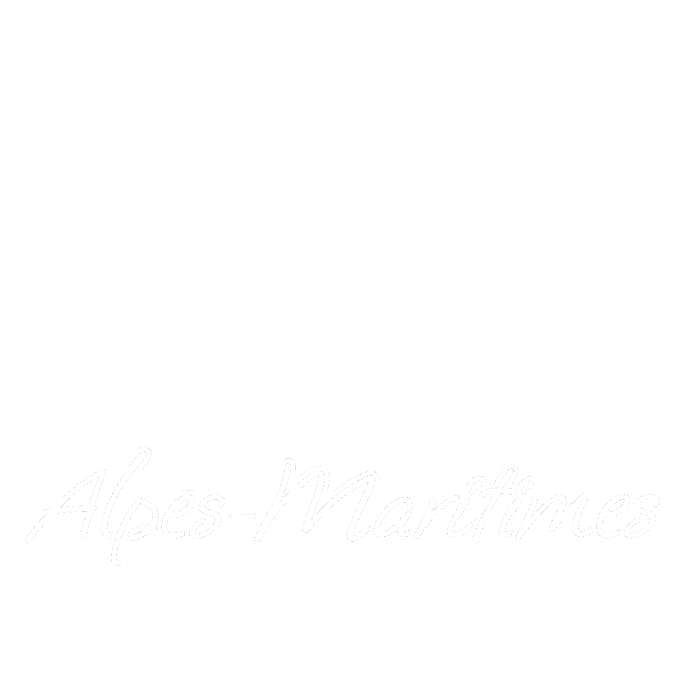 BIKINGMAN - COURSE logo - 555 Alpes-Maritimes