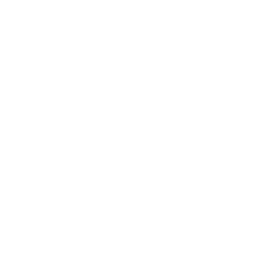 BIKINGMAN - COURSE logo - 555 Corsica