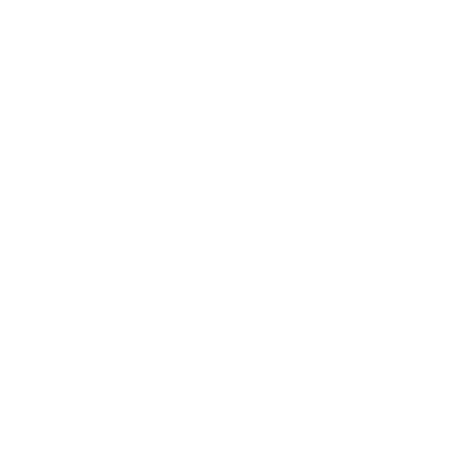 BIKINGMAN - COURSE logo - 555 Brazil