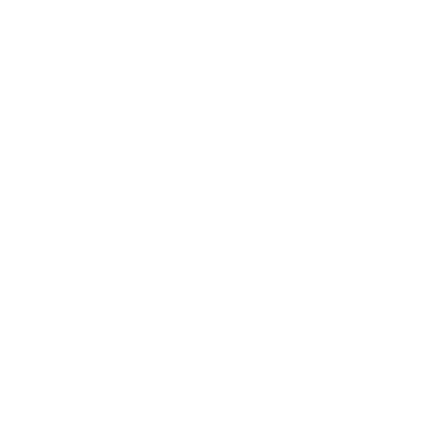 BIKINGMAN - COURSE logo - AURA