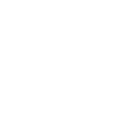 BIKINGMAN - RACE logo - INCADIVIDE