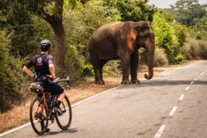 BikingMan Sri Lanka 2024