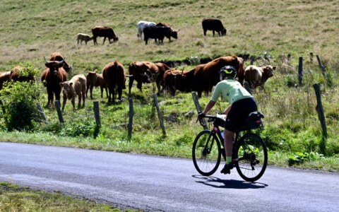 Les paysages d'Auvergne